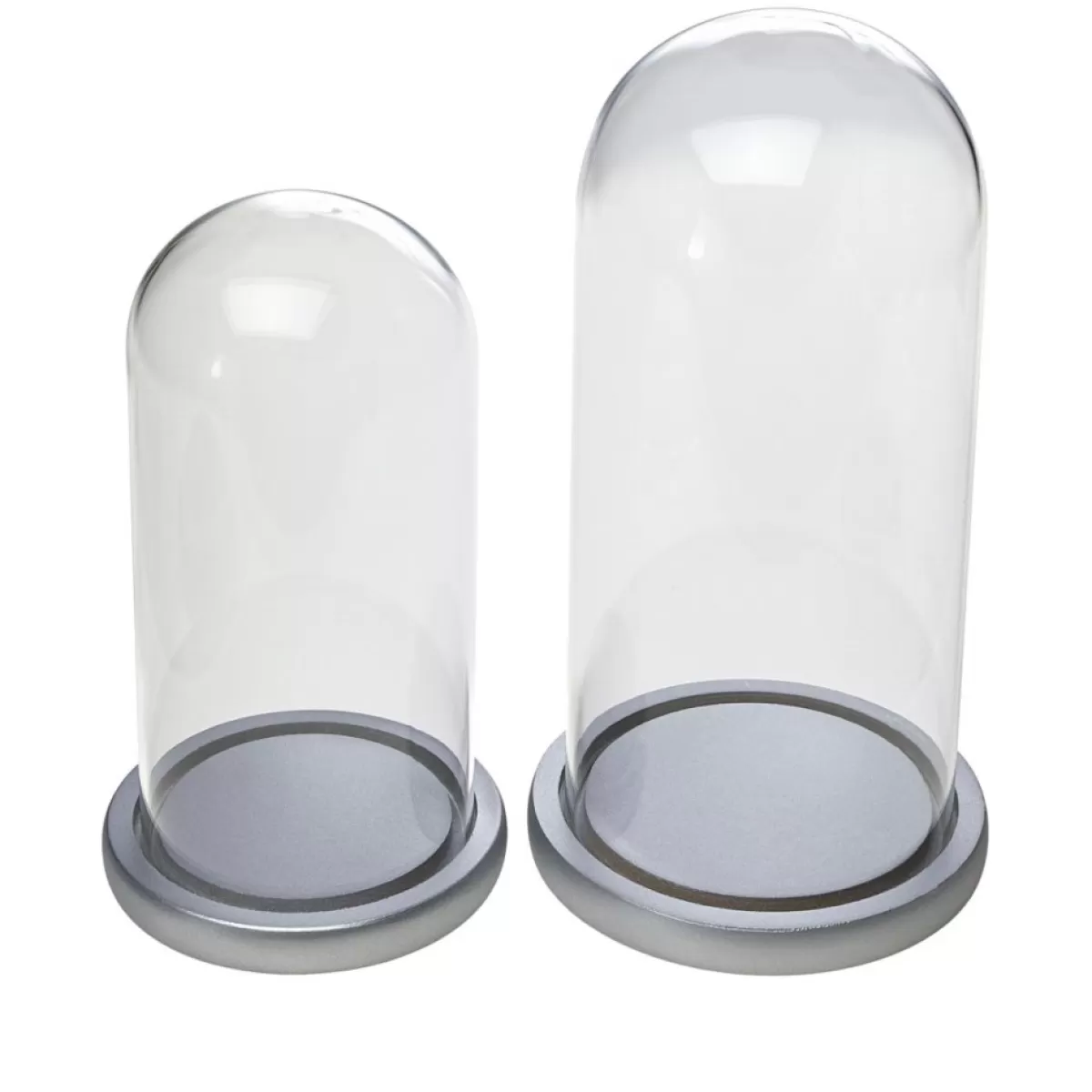 august & leo Indoor Decor | Glass And Wood Cloche 2-Piece Set