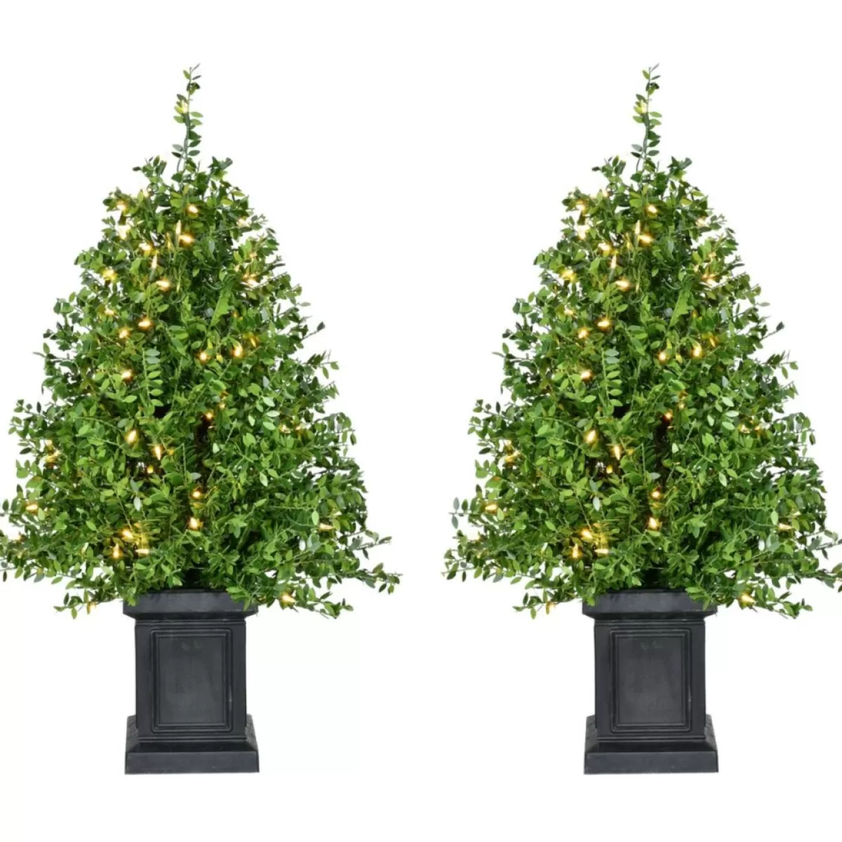 Fraser Hill Farm Outdoor Decor | Boxwood Porch Tree In Black Pot With Warm White Lights, Set Of 2