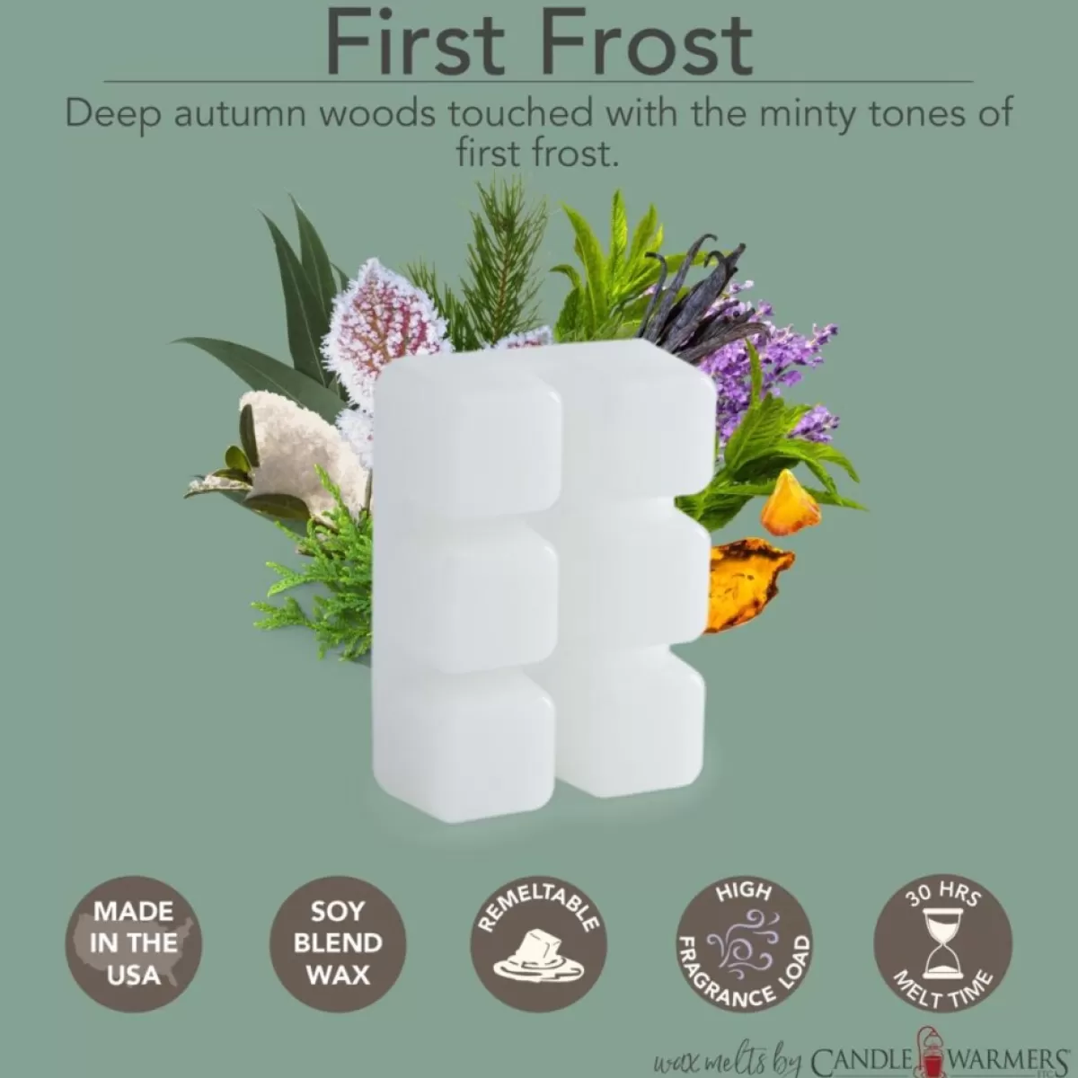 Candle Warmers Candles | Etc. 2.5 Oz. Wax Melts - Balsam Fir & First Frost